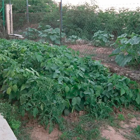 El Jardin De Manuela