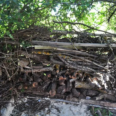 El Jardin De Manuela