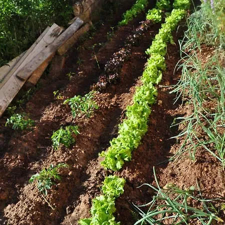 El Jardin De Manuela Vakantiehuis *