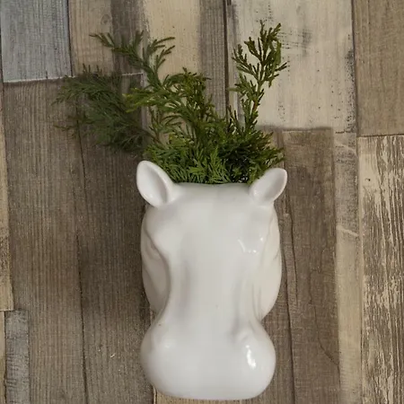 Vakantiehuis El Jardin De Manuela Santibanez del Val