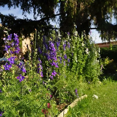 El Jardin De Manuela Vakantiehuis *