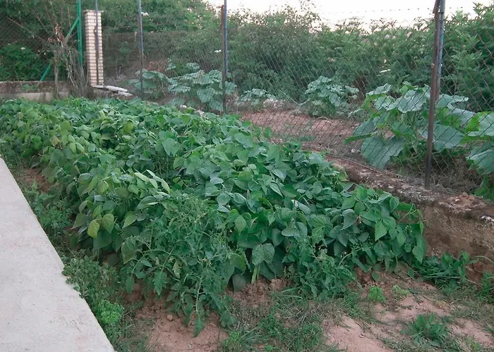 El Jardin De Manuela