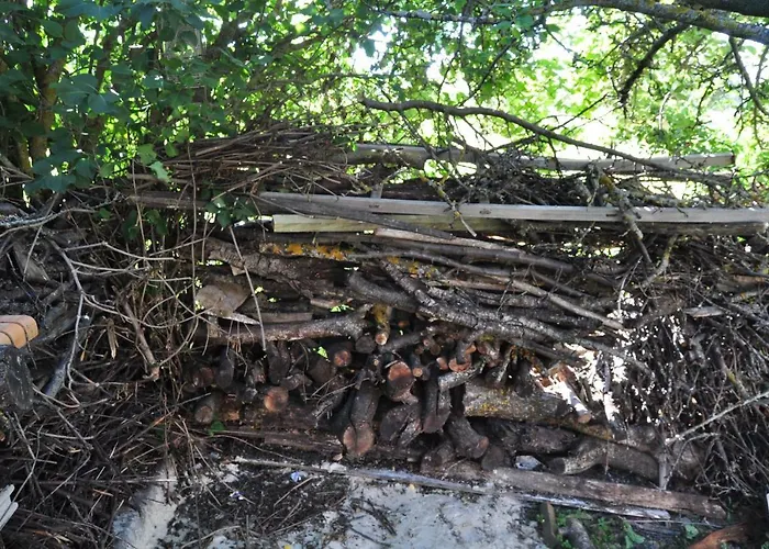 El Jardin De Manuela