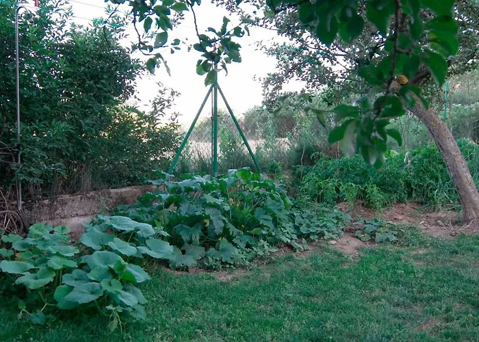 El Jardin De Manuela Tatil Evi