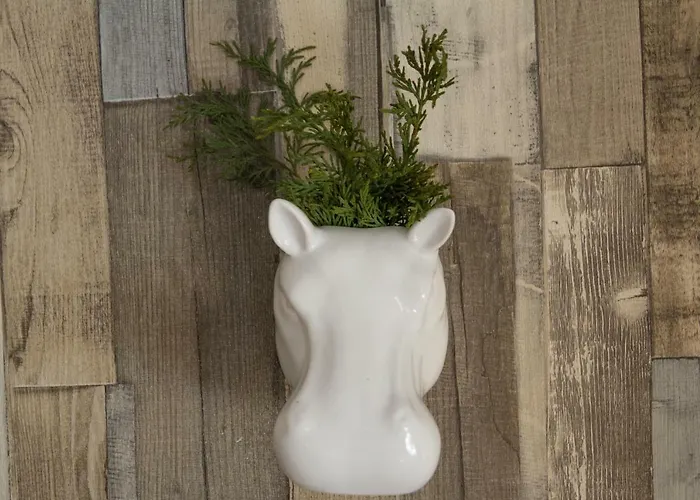 Tatil Evi El Jardin De Manuela Santibanez del Val