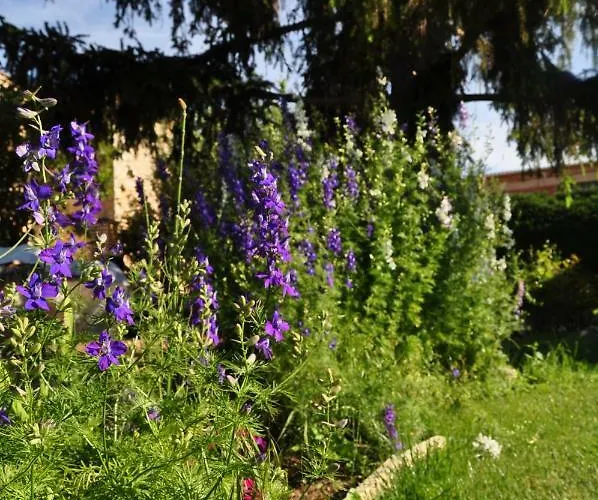 El Jardin De Manuela Tatil Evi *